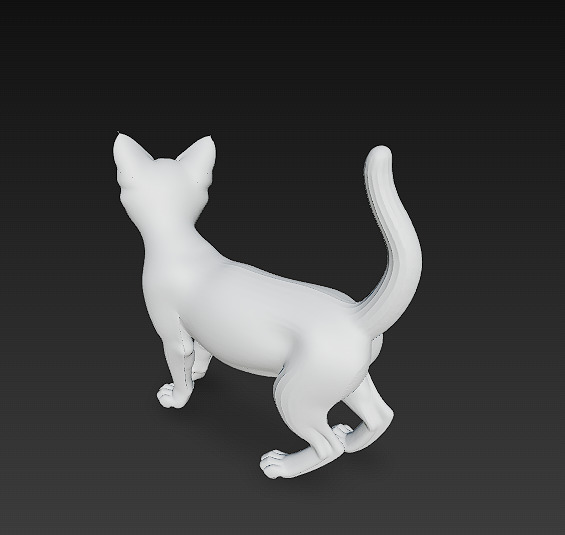 Cat Tabby Realistic 3D Model Basic - Low Poly Realistic Low-poly 3D model_13