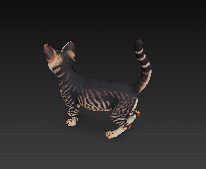 Cat Tabby Realistic 3D Model Basic - Low Poly Realistic Low-poly 3D model_3