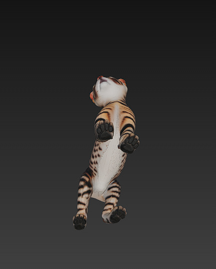 Cat Tabby Realistic 3D Model Basic - Low Poly Realistic Low-poly 3D model_5