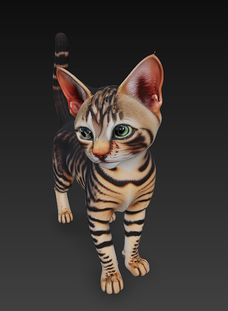 Cat Tabby Realistic 3D Model Basic - Low Poly Realistic Low-poly 3D model_7