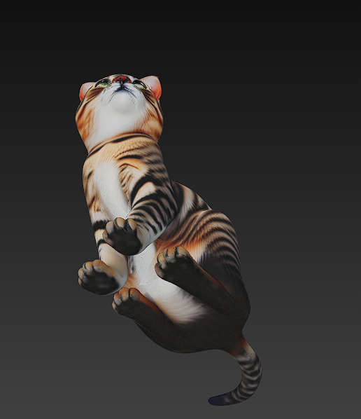 Cat Realistic 3D Model Basic - Low Poly Realistic Low-poly 3D model_8