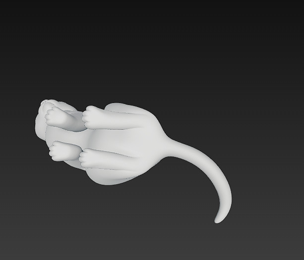 Cat Realistic 3D Model Basic - Low Poly Realistic Low-poly 3D model_13