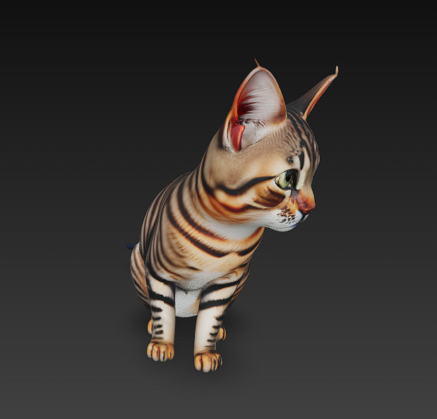 Cat Realistic 3D Model Basic - Low Poly Realistic Low-poly 3D model_1