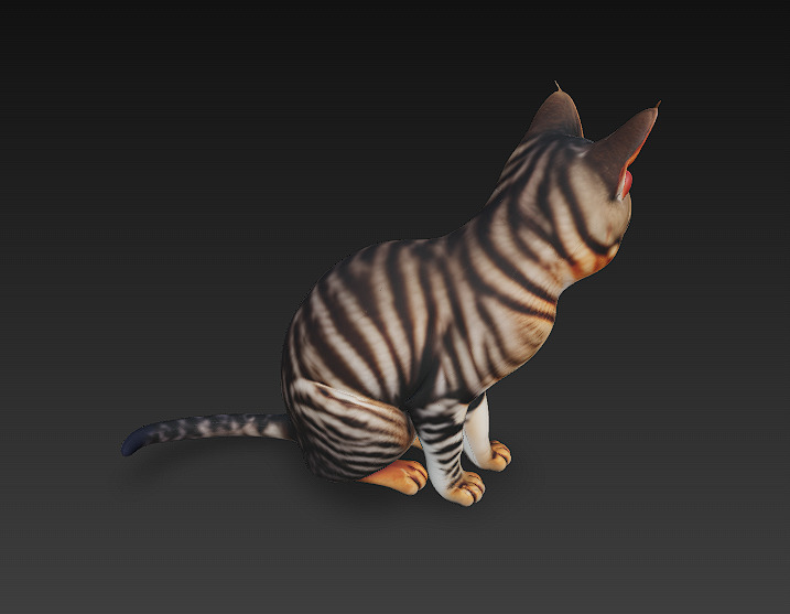 Cat Realistic 3D Model Basic - Low Poly Realistic Low-poly 3D model_5