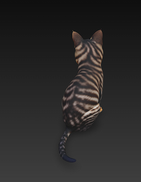 Cat Realistic 3D Model Basic - Low Poly Realistic Low-poly 3D model_6