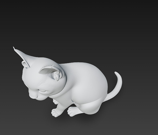 Cat Realistic 3D Model Basic - Low Poly Realistic Low-poly 3D model_11