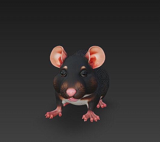 Rat Realistic 3D Model Basic - Low Poly Realistic Low-poly 3D model