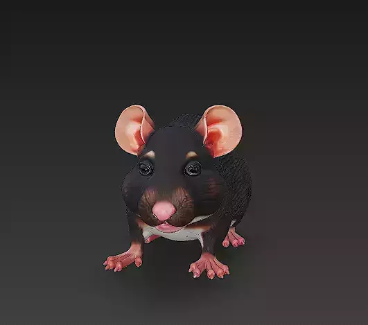 Rat Realistic 3D Model Basic - Low Poly Realistic