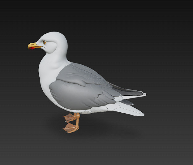 Seagull Realistic 3D Model Basic - Low Poly Realistic Low-poly 3D model_4