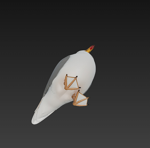 Seagull Realistic 3D Model Basic - Low Poly Realistic Low-poly 3D model_7