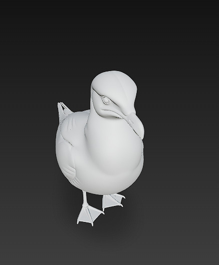 Seagull Realistic 3D Model Basic - Low Poly Realistic Low-poly 3D model_14