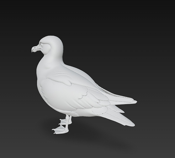 Seagull Realistic 3D Model Basic - Low Poly Realistic Low-poly 3D model_12