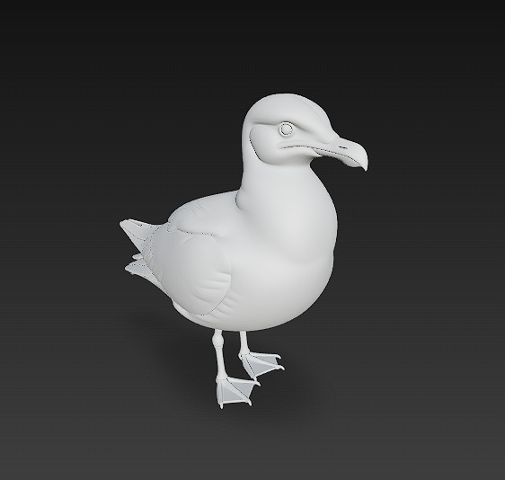Seagull Realistic 3D Model Basic - Low Poly Realistic Low-poly 3D model_10