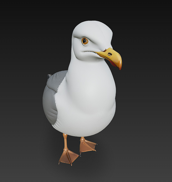 Seagull Realistic 3D Model Basic - Low Poly Realistic Low-poly 3D model_1