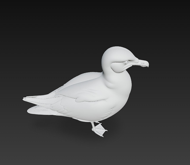 Seagull Realistic 3D Model Basic - Low Poly Realistic Low-poly 3D model_13