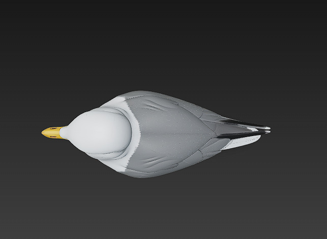 Seagull Realistic 3D Model Basic - Low Poly Realistic Low-poly 3D model_5
