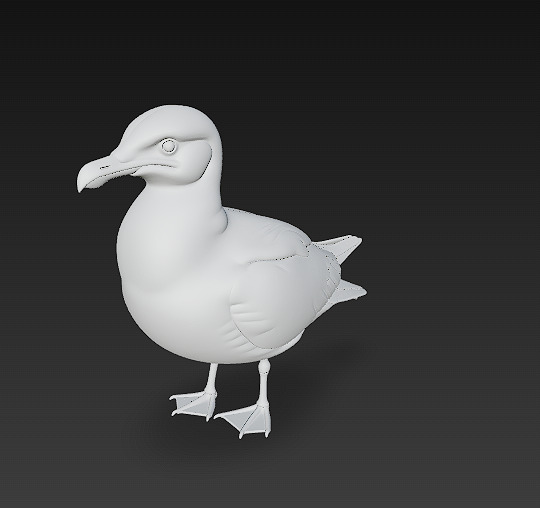 Seagull Realistic 3D Model Basic - Low Poly Realistic Low-poly 3D model_11