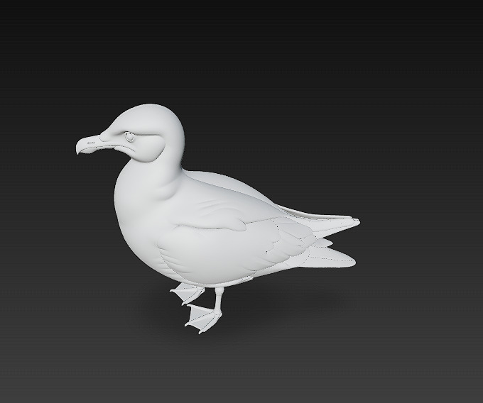 Seagull Realistic 3D Model Basic - Low Poly Realistic Low-poly 3D model_16