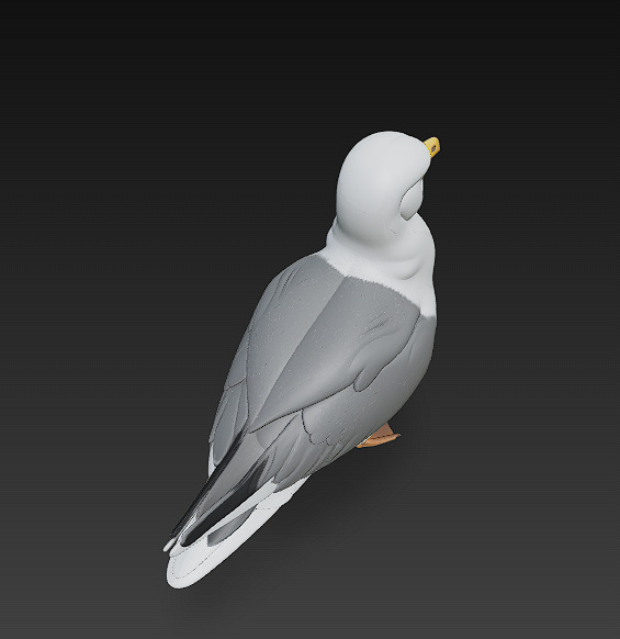 Seagull Realistic 3D Model Basic - Low Poly Realistic Low-poly 3D model_9