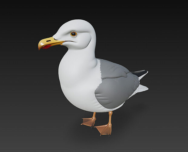 Seagull Realistic 3D Model Basic - Low Poly Realistic Low-poly 3D model