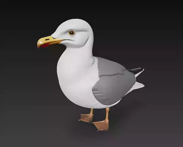 Seagull Realistic 3D Model Basic - Low Poly Realistic Low-poly 3D model