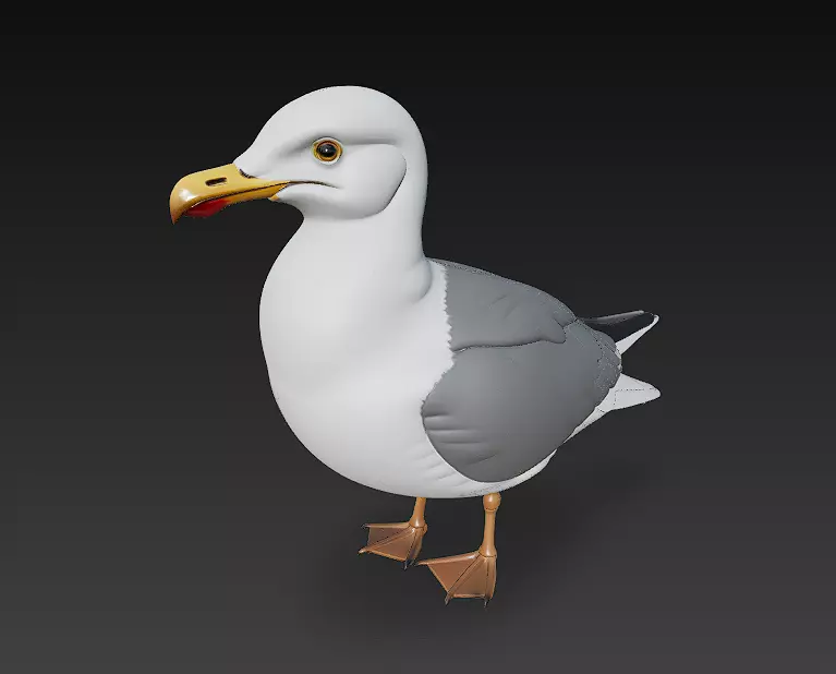 Seagull Realistic 3D Model Basic - Low Poly Realistic Low-poly 3D model_0