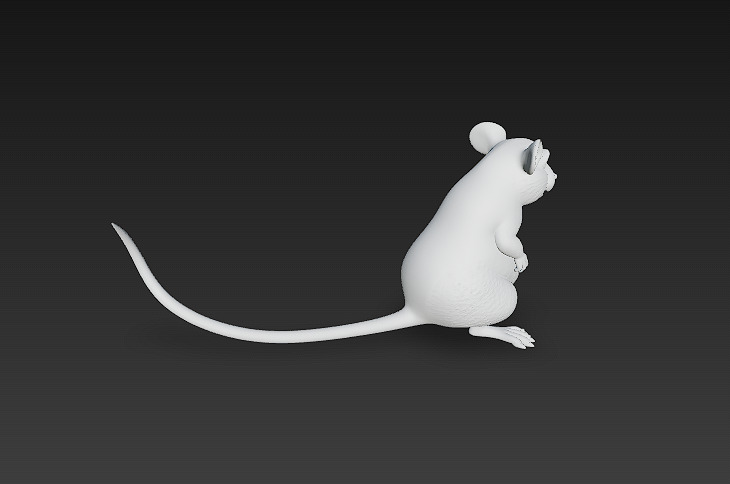 Rat Realistic 3D Model Basic - Low Poly Realistic Low-poly 3D model_11