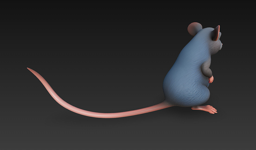Rat Realistic 3D Model Basic - Low Poly Realistic Low-poly 3D model_2