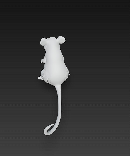 Rat Realistic 3D Model Basic - Low Poly Realistic Low-poly 3D model_12