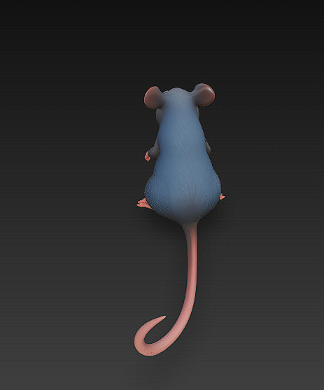 Rat Realistic 3D Model Basic - Low Poly Realistic Low-poly 3D model_3