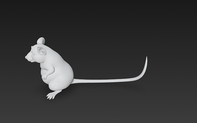 Rat Realistic 3D Model Basic - Low Poly Realistic Low-poly 3D model_13