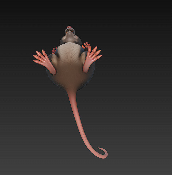 Rat Realistic 3D Model Basic - Low Poly Realistic Low-poly 3D model_7