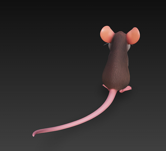 Rat Realistic 3D Model Basic - Low Poly Realistic Low-poly 3D model_4