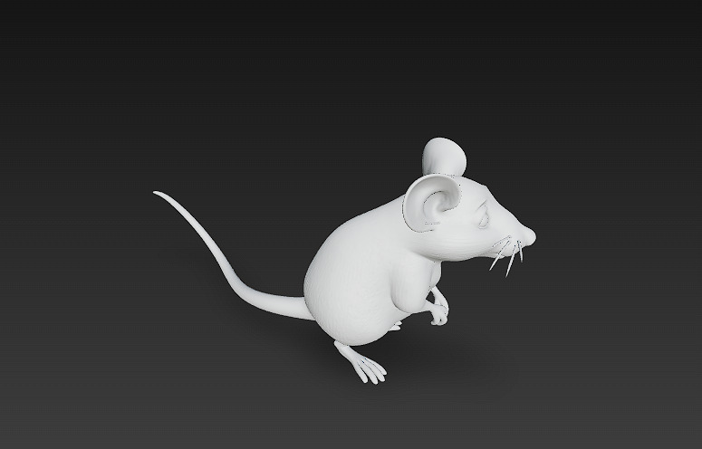 Rat Realistic 3D Model Basic - Low Poly Realistic Low-poly 3D model_12