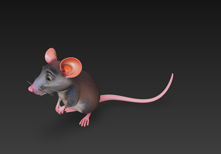 Rat Realistic 3D Model Basic - Low Poly Realistic Low-poly 3D model_9