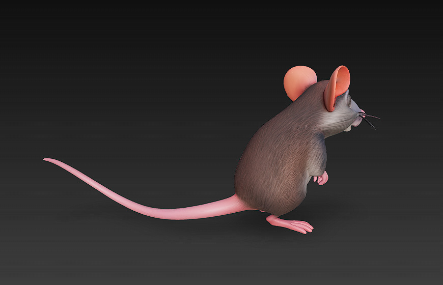 Rat Realistic 3D Model Basic - Low Poly Realistic Low-poly 3D model_3