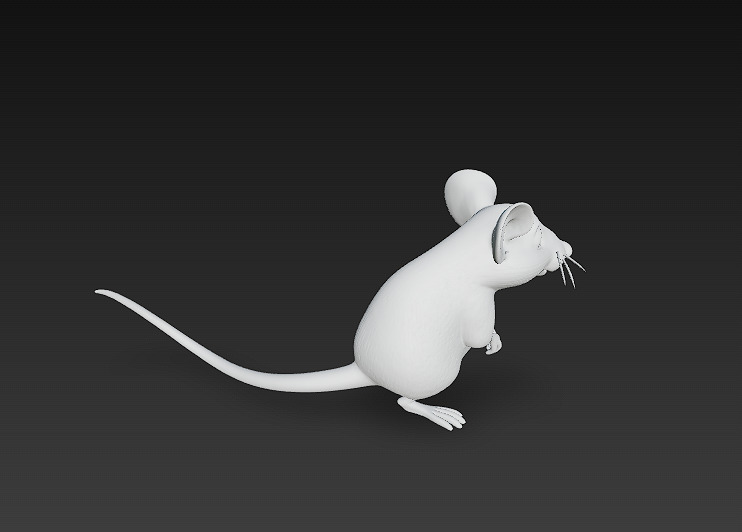 Rat Realistic 3D Model Basic - Low Poly Realistic Low-poly 3D model_17