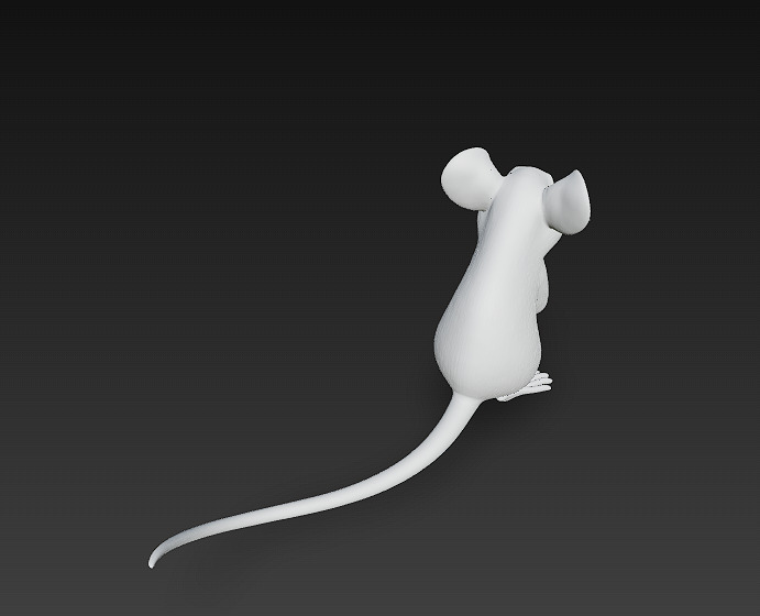 Rat Realistic 3D Model Basic - Low Poly Realistic Low-poly 3D model_13