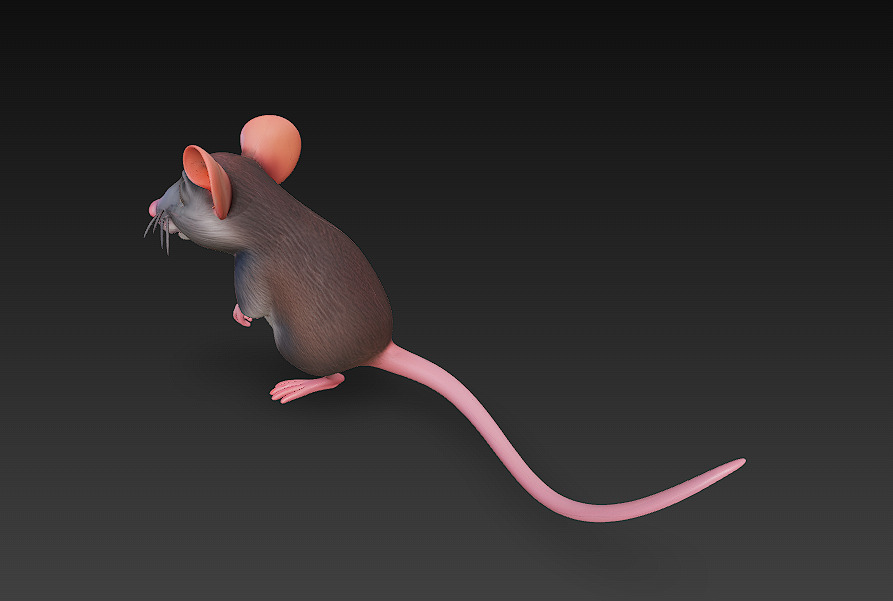Rat Realistic 3D Model Basic - Low Poly Realistic Low-poly 3D model_5