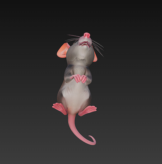 Rat Realistic 3D Model Basic - Low Poly Realistic Low-poly 3D model_7
