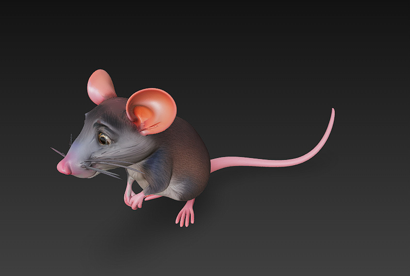 Rat Realistic 3D Model Basic - Low Poly Realistic Low-poly 3D model_6