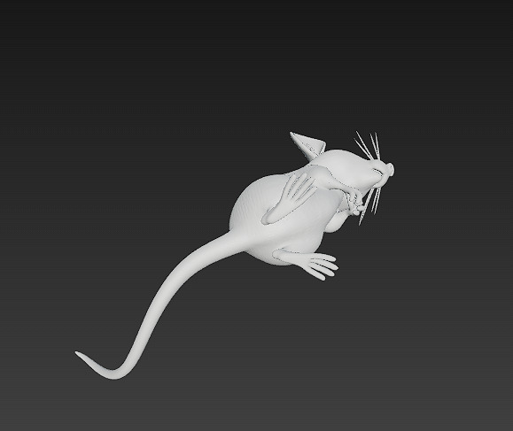 Rat Realistic 3D Model Basic - Low Poly Realistic Low-poly 3D model_16