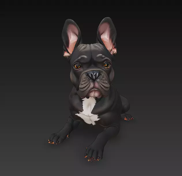 French Bulldog Dog Realistic 3D Model - Low Poly Realistic Low-poly 3D model_0