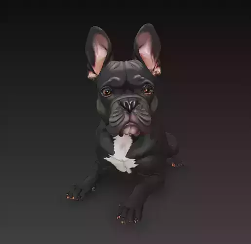 French Bulldog Dog Realistic 3D Model - Low Poly Realistic