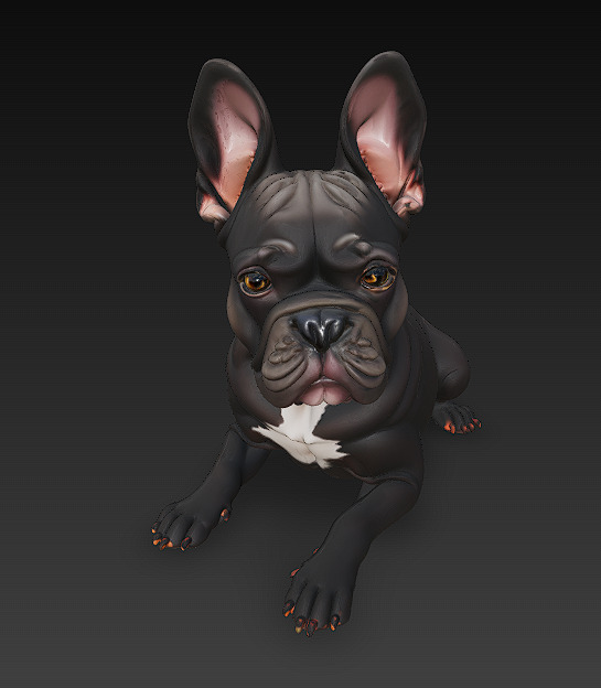 French Bulldog Dog Realistic 3D Model - Low Poly Realistic Low-poly 3D model_5