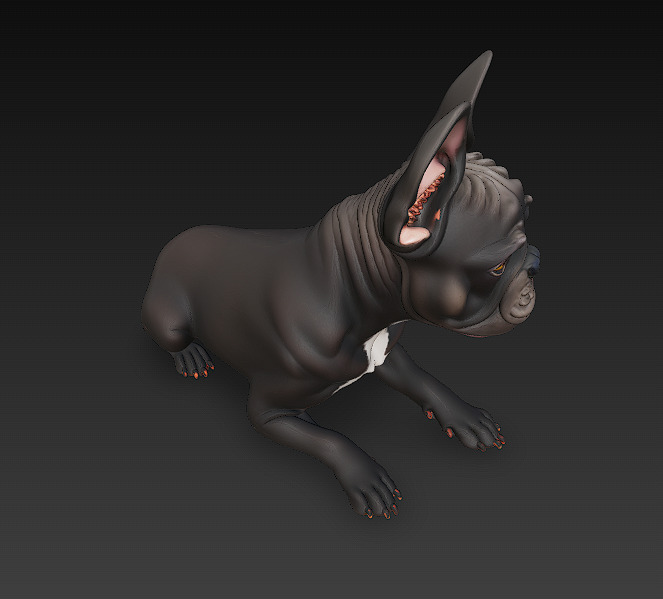 French Bulldog Dog Realistic 3D Model - Low Poly Realistic Low-poly 3D model_6