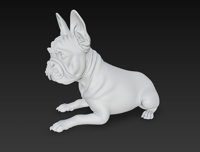 French Bulldog Dog Realistic 3D Model - Low Poly Realistic Low-poly 3D model_12