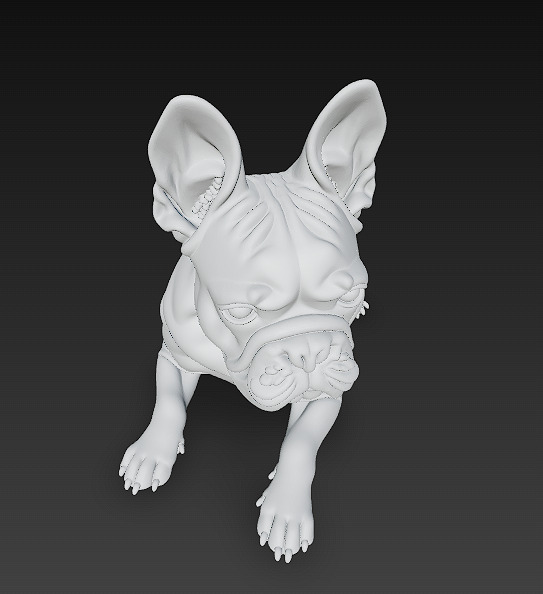French Bulldog Dog Realistic 3D Model - Low Poly Realistic Low-poly 3D model_7