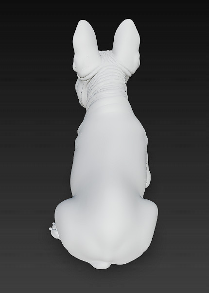 French Bulldog Dog Realistic 3D Model - Low Poly Realistic Low-poly 3D model_11