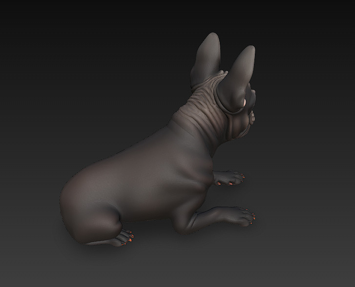 French Bulldog Dog Realistic 3D Model - Low Poly Realistic Low-poly 3D model_2